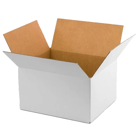 Regular Carton Packaging